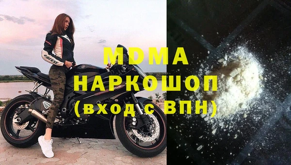 индика Алексин