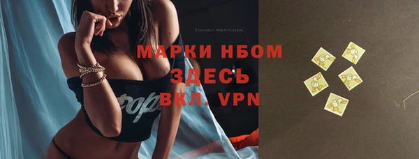 индика Алексин