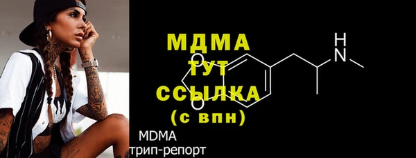 индика Алексин