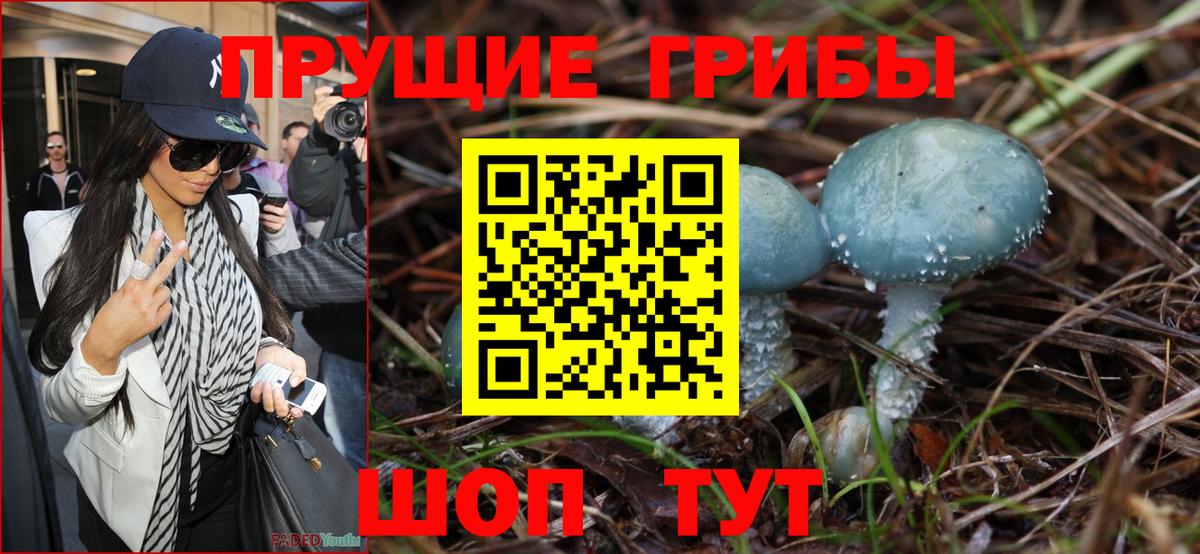 Ревда  Псилоцибиновые грибы мухоморы  Вход с VPN 